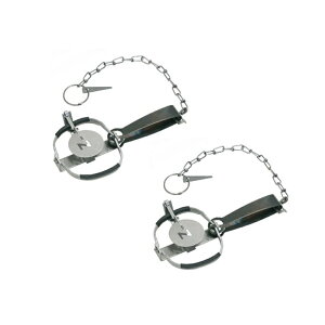 hH hqY gbv Ctype 2 No.201 [^p goT~ ߊl pi  C^` ETM] IT-1