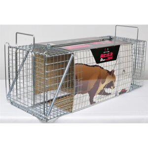 y񂹁zhH hqY ߊl Dtype No.304 [^p pi  C^` ʂ] TN-4