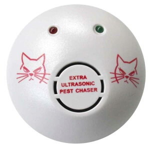 Rp g˂ݖh [Qb  lY~ RZg  ]