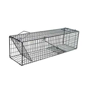 Rp X[p[ߊl L 20×s72×20cm [ߊl  Aj}gbv] ubN