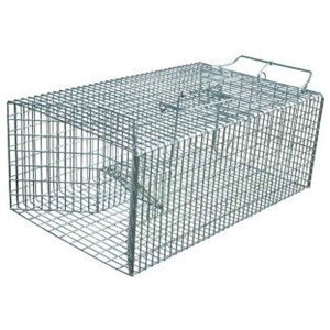 Rp ƖpE˂ݕߊl [ߊl Qb lY~ ˂  ]