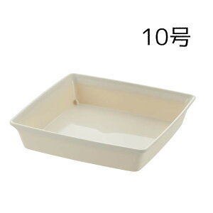 b`F tH[ XNGAv[g 10 [| K[fjO Aؔ M ϗtA] zCg