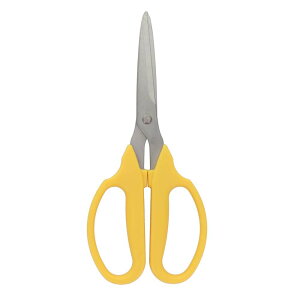 Sita TrɋXeXn} OMUn [| H nT~ ͂  ~] A008