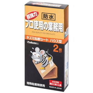 V}_ lY~SV[gnEX^ [Q Qb쏜 hb nEX^ ߊl ncJlY~ N}lY~] 2