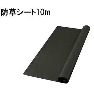 ACXI[} hV[g ubN 10m [| K[fjO Ռ sDz Jbg] BS-10