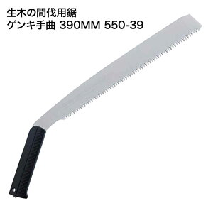 VL[ QL  { [| H mRM ҋ ْf ؂̊Ԕp] 390mm