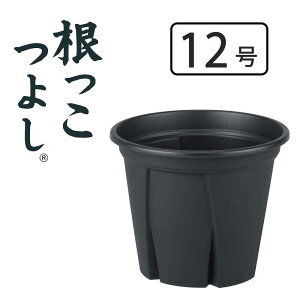 �A�b�v���E�F�A�[ �������悵12�� [�A�ؔ� �v�����^�[ ���| �K�[�f�j���O �ϗt�A��] �u���b�N