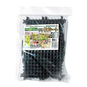 DAIM _V[g 235×340mm [  L lR ˂悯  r Nh~   x_ ] 10