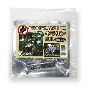 DAIM L [h Q    | K[fjO _앨] 16mmp