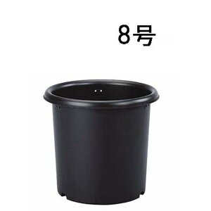 O[p e 8 [| K[fjO v^[@  A Aւ]