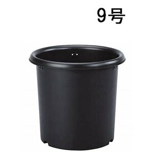 O[p e 9 [| K[fjO v^[   A Aւ]