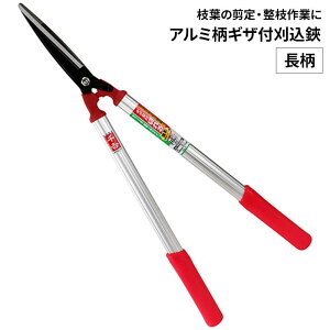 g A~MUt  [|  } A ͂ ] SGL-41