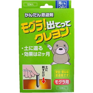 Ώtm OoĂăN [Qb    Ő] 10{