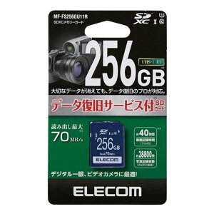 GR f[^T[rXtSDJ[h(UHS-I Ή) [SDXCJ[h L^fBA f[^ۑ 256GB] MF-FS256GU11R