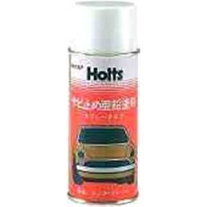 zc WNv[gXv[ (Tr~߈h)(ԗpiEJ[pi) MH107