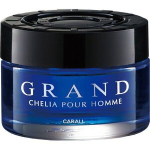 (IJg) Oh VFA65 L(ԗpF)yv`iV[z 3171