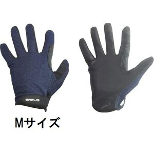 xm܍H  uXSDLb` MTCY fj ^b`plΉ [H dCH ʍƗp] 4066-M