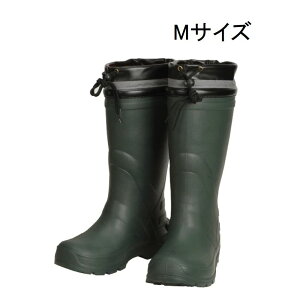 JWCN No.6499 HOTGA[o[u[c [C h ۉ Cu[c y jp] MTCY _[NO[