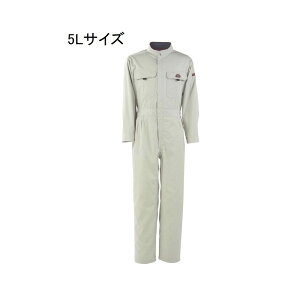 JWCN T/C҃nMȂ No.6609 [ƕ Ȃ Tybg] ACXzCg 5LTCY