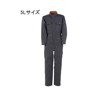 JWCN T/C҃nMȂ No.6609 [ƕ Ȃ Tybg] `R[O[ 5LTCY