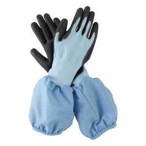 j[h ̂X^C tE^ MTCY u[ [_ K[fjO | O[u rJo[ O] NS-16