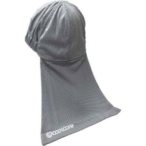 COVER WORK J@[[N COOLCORERN[RA @\⊴wbgCi[ ^t O[ [΍ O  Ђ ƈߗ MǑ΍] FT-5804