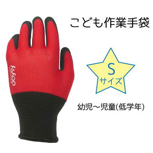 COVER WORK J@[[N ǂƎ STCY ԐF [ w ׂ~ q ] FT-311155