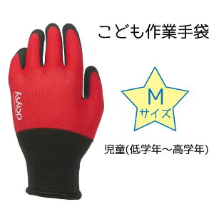 COVER WORK J@[[N ǂƎ MTCY ԐF [ w ׂ~ q ] FT-311155