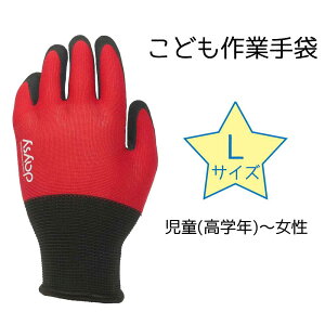 COVER WORK J@[[N ǂƎ LTCY ԐF [ w ׂ~ q ] FT-311155