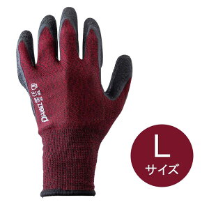 DiVaiZ NRAJo[Oܐԍ LTCY [Ǝ w VRS ʋC Obv] 2030AZ-163-L