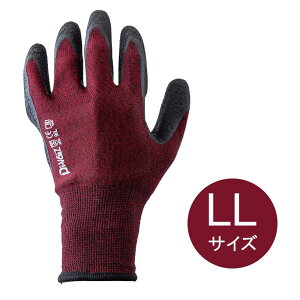 DiVaiZ NRAJo[Oܐԍ LLTCY [Ǝ w VRS ʋC Obv] 2030AZ-163-LL