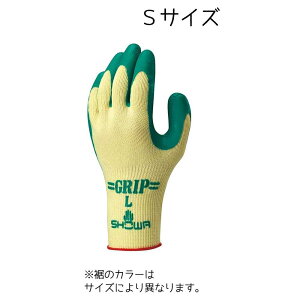 V[O[u No.310 Obv(\tg^Cv) STCY O[/O[ [  w Xx~ ʋC ^A] 1o