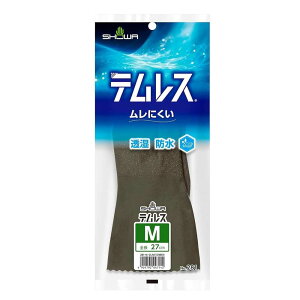 V[O[u No.281 eX MTCY I[uO[ [  h  Xx~ _  |] 1o