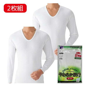 GUEZE O[ SV6110A 炩 U 2g zCg [j  Ci[Vc 100 R hL] LLTCY