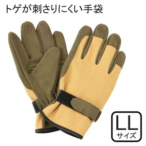 ZteB[3 gQhɂ LLTCY [|p K[fjO O[u gQ̂A d}] STS-LL