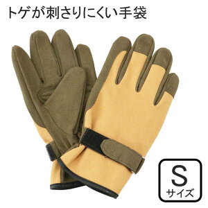 ZteB[3 gQhɂ STCY [|p K[fjO O[u gQ̂A d}] STS-S