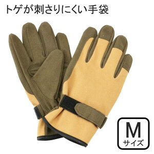 ZteB[3 gQhɂ MTCY [|p K[fjO O[u gQ̂A d}] STS-M