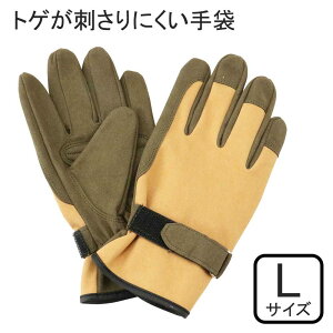 ZteB[3 gQhɂ LTCY [|p K[fjO O[u gQ̂A d}] STS-L