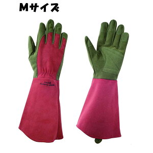 ���a�R�[�|���[�V���� No.431 WESTCOUNTY ROSE �E�F�X�g�J�E���e�B�[���[�Y [���|��� �K�[�f�j���O�O���[�u �o�� �� �l����v] ���r�[ M�T�C�Y