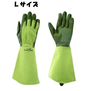 aR[|[V No.432 WESTCOUNTY ROSE EFXgJEeB[[Y [| K[fjOO[u o  lv] X LTCY