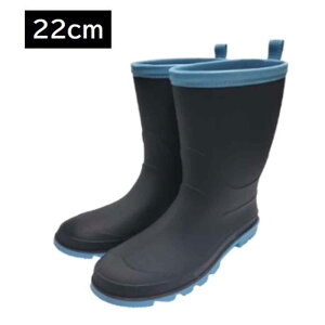 WpEp PVCCu[c lCr[ 22cm [C wl p] LB-618