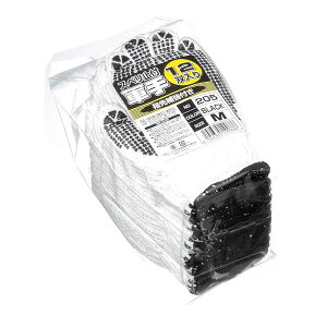 ӂ Xx~ߌR (M) 12og [  S ~] ubN 205