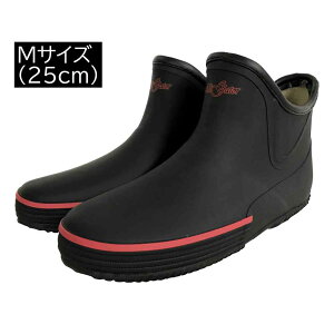 IJg K[fjOu[c AQ[^[ V[g ubN MTCY(25cm) [C K[fV[Y | _] RD-124