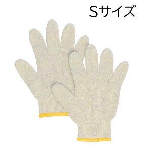 ӂ G659 ǂĂԂ STCY [q R wZs  ^ Lv] 1o