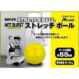 ライテック ストレッチボール55cm MN120