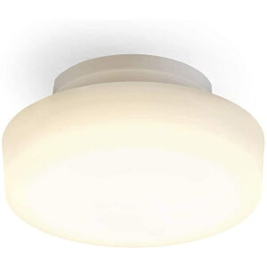 ACXI[} LED^V[OCg 1200lm dF [gC ʏ  L ȃGl Ɩ Hsv] SCL12L-MCHL