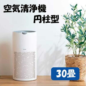 ACXI[} C@ ~^ 30 [Ɠd ԕ PM2.5 jIC gCL ݏL ̏L ^oRL ^ RpNg] AAP-S60B-W zCg