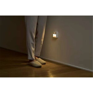 ACXI[} drLEDZT[Cg ^Cv [Ɩ Ǖt^ zsv Q  L ] BSL-MS1