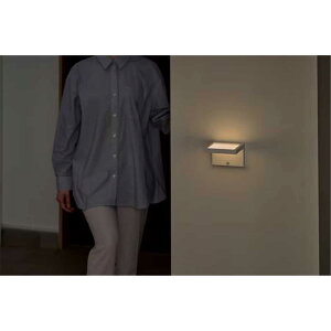 ACXI[} drLEDZT[Cg plEH[^Cv [Ɩ Ǖt^ zsv Q  L ] BSL-BMSP