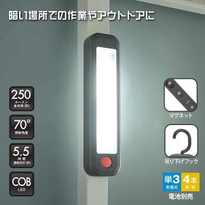OHM I[d@ ړIƃCg 250[ [Ɩ Ɠ [NCg LED dr }Olbg  ݂艺] SL-W300R6C